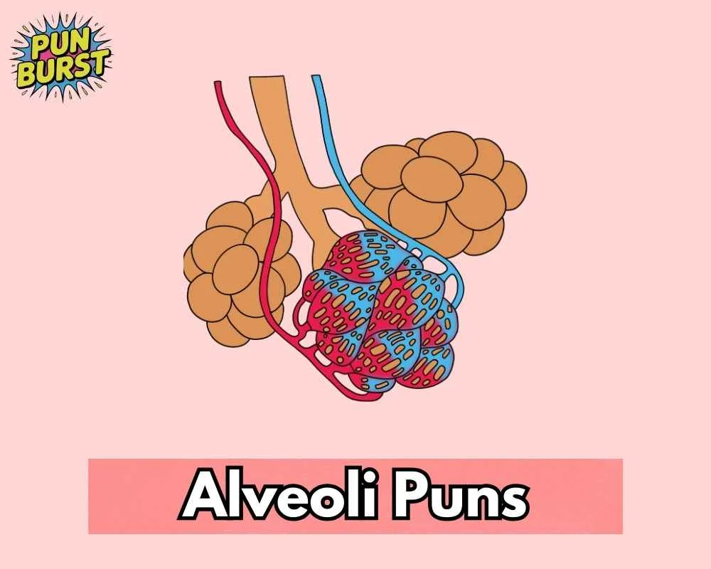 Alveoli Puns