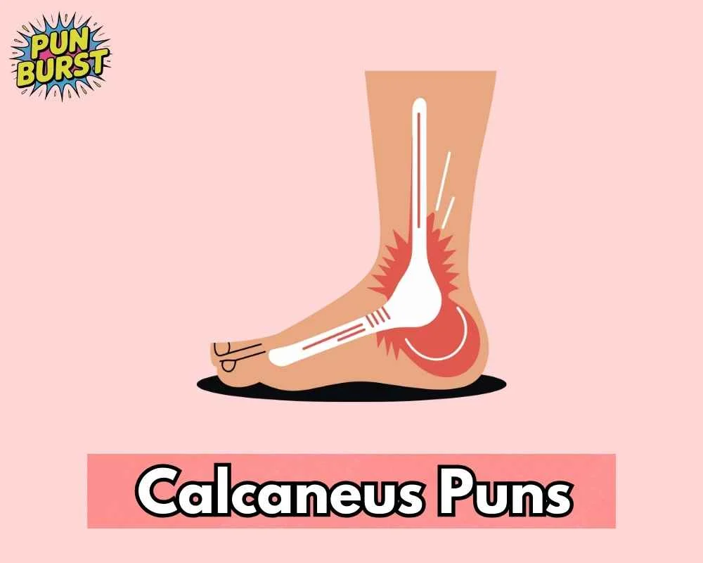 Calcaneus Puns