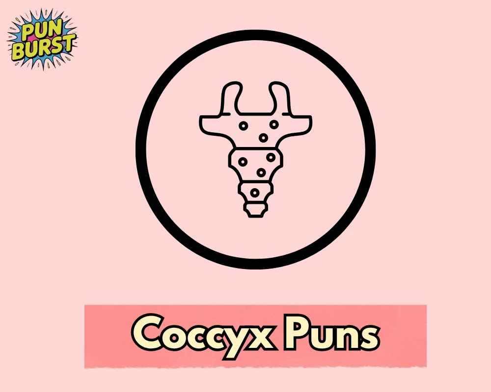 Coccyx Puns