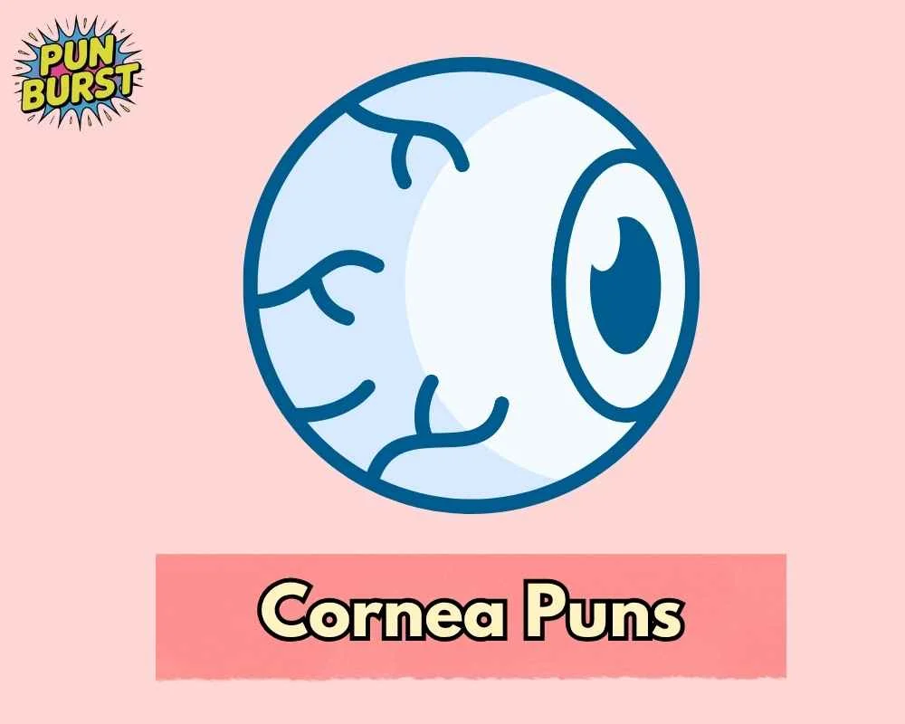 Cornea Puns