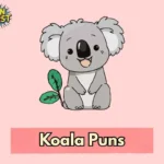 Koala Puns