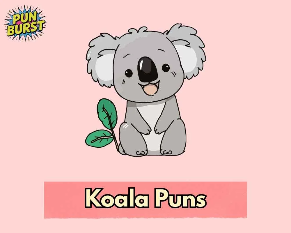 Koala Puns