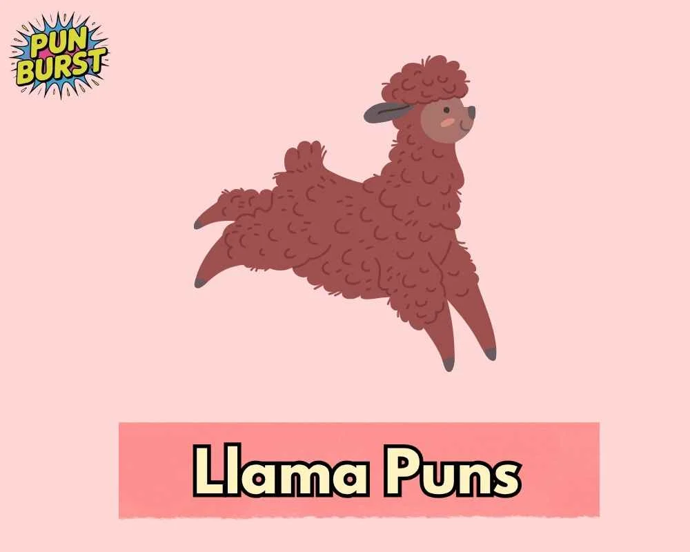 Llama Puns