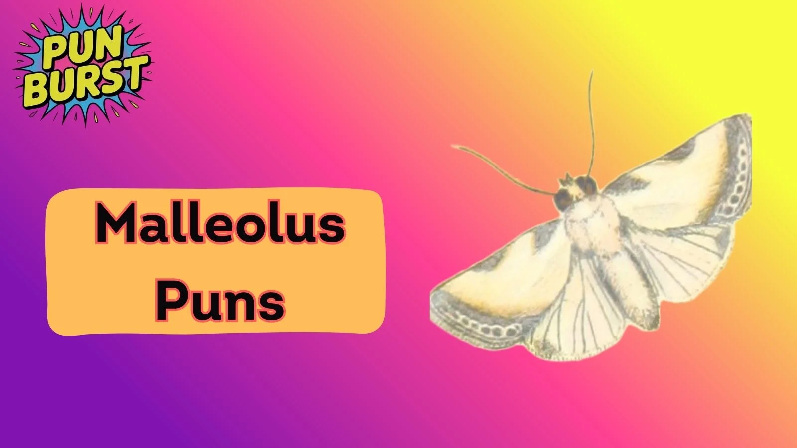 Malleolus Puns