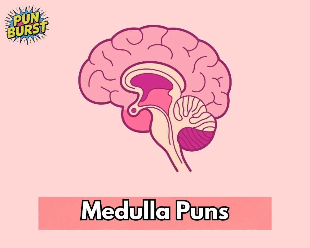 Medulla Puns