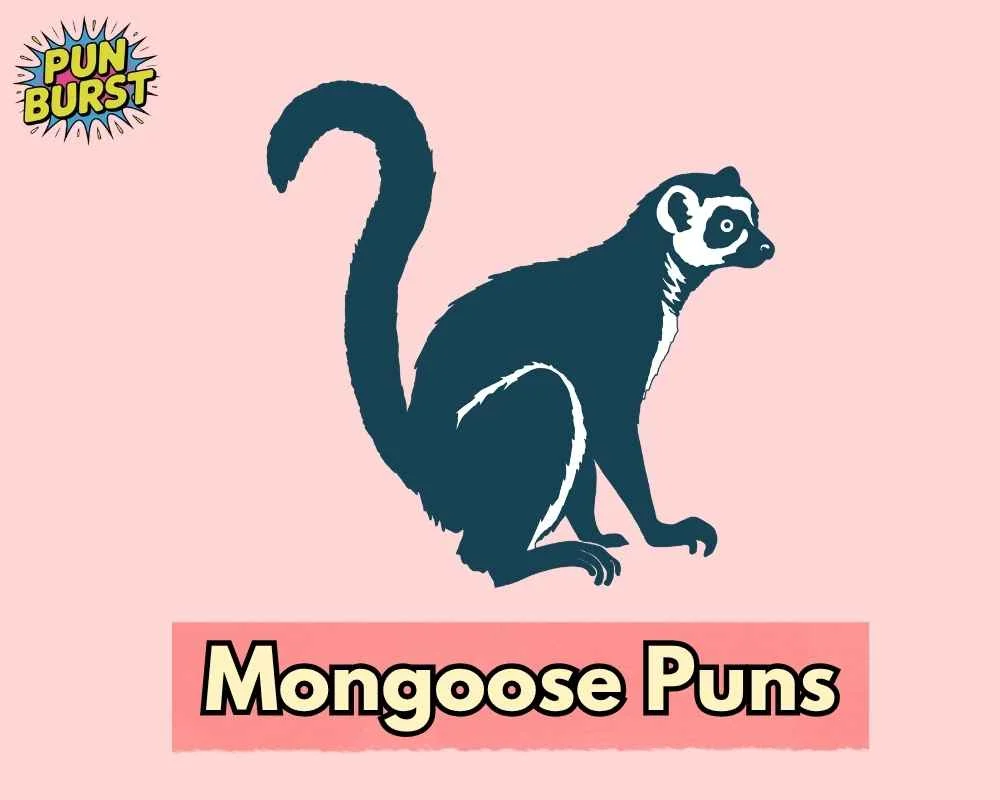 Mongoose Puns