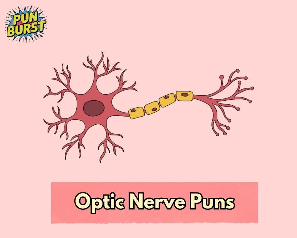 Optic Nerve Puns