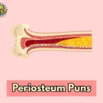 periosteum-puns