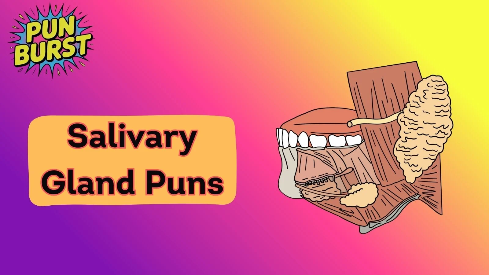 Salivary gland puns