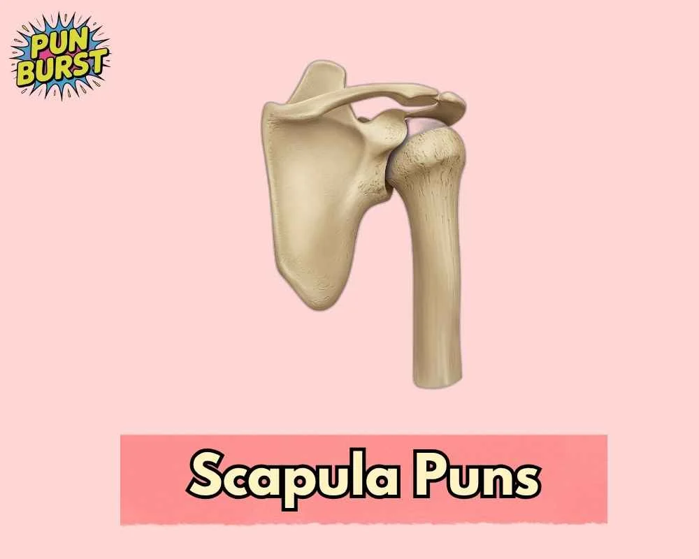 Scapula Puns