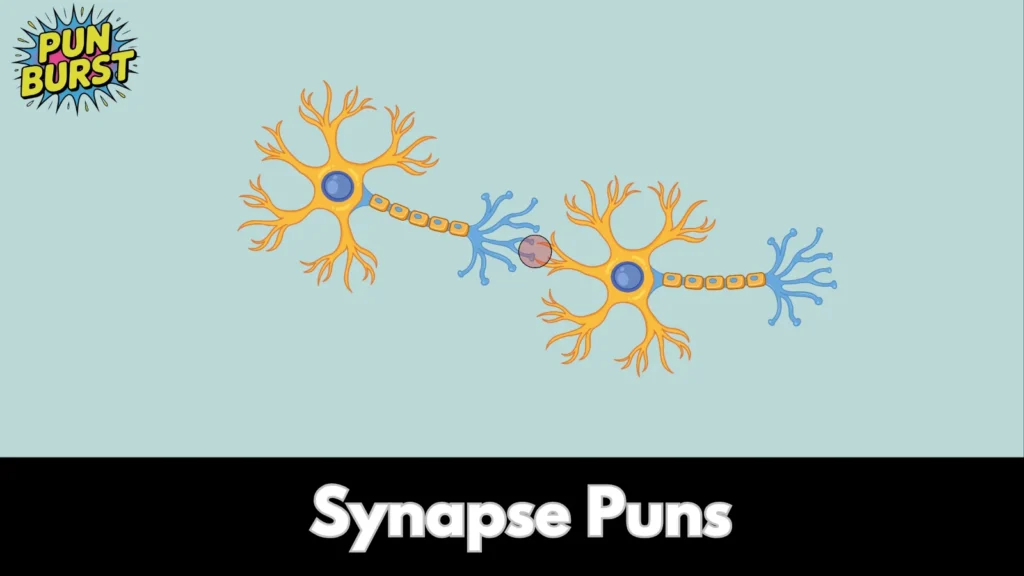 Synapse Puns