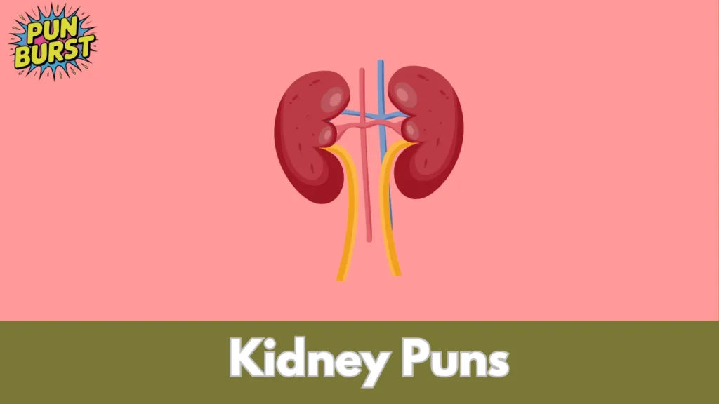 Kidney Puns