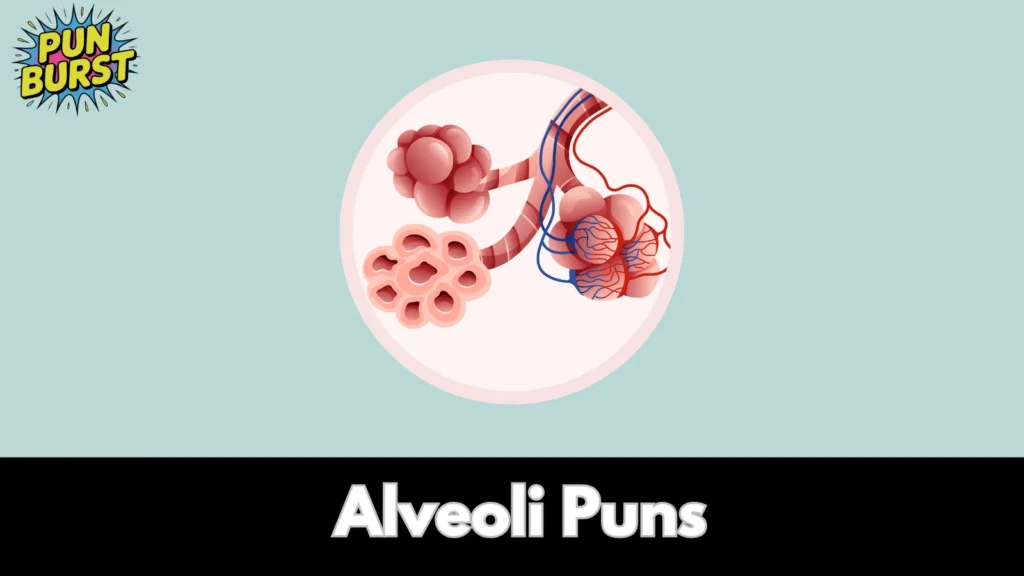 Alveoli Puns
