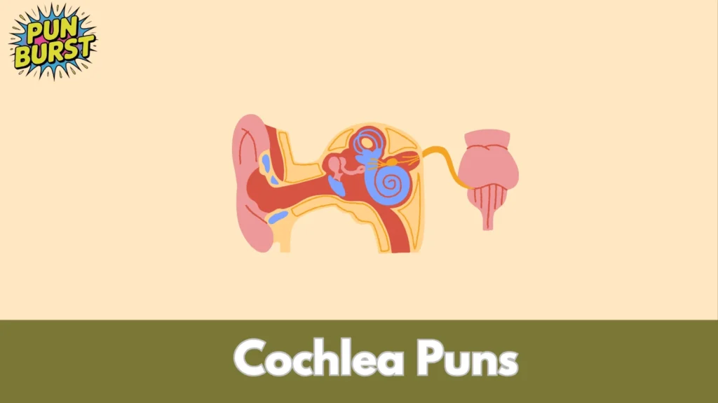 Cochlea Puns