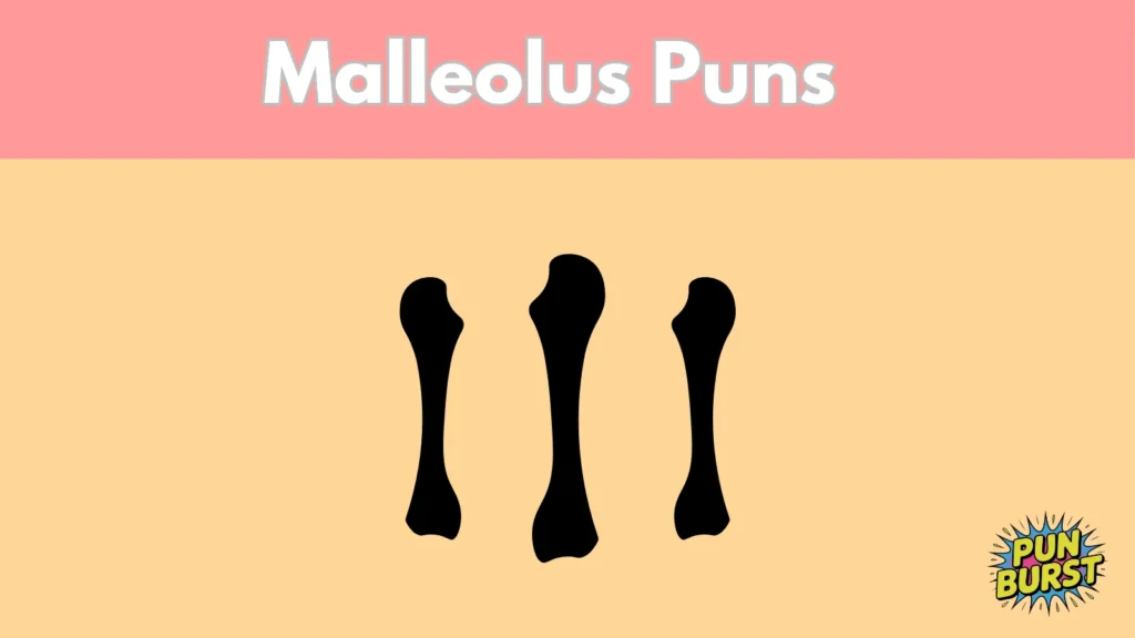 Malleolus Puns