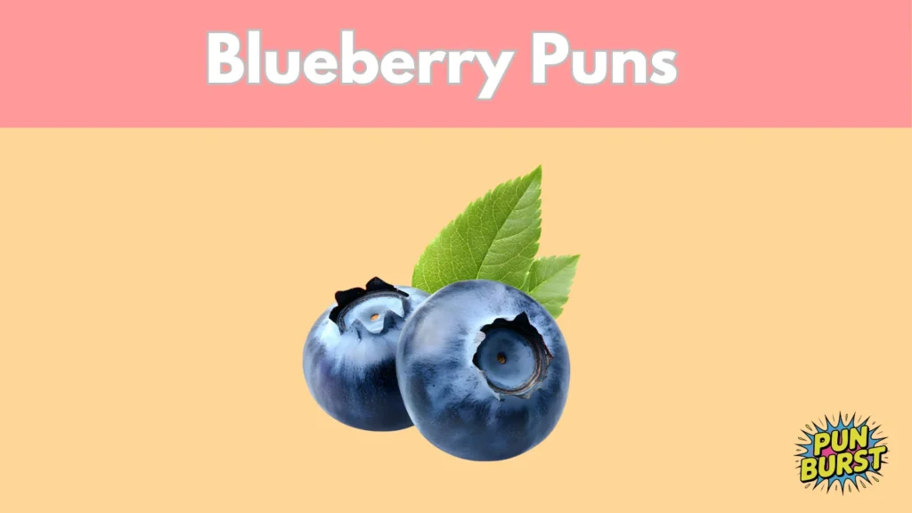 Blueberry Puns