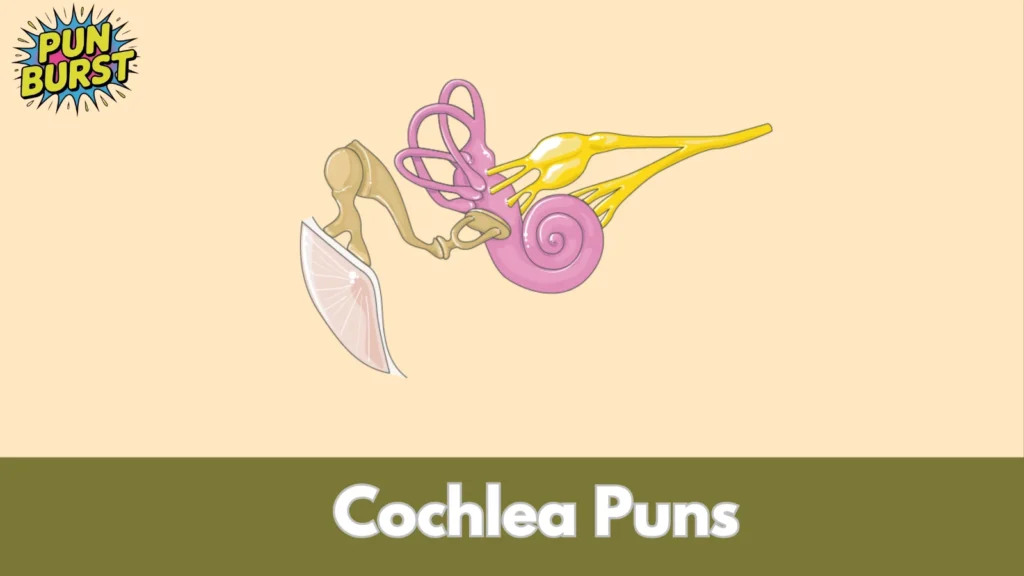 Cochlea Puns