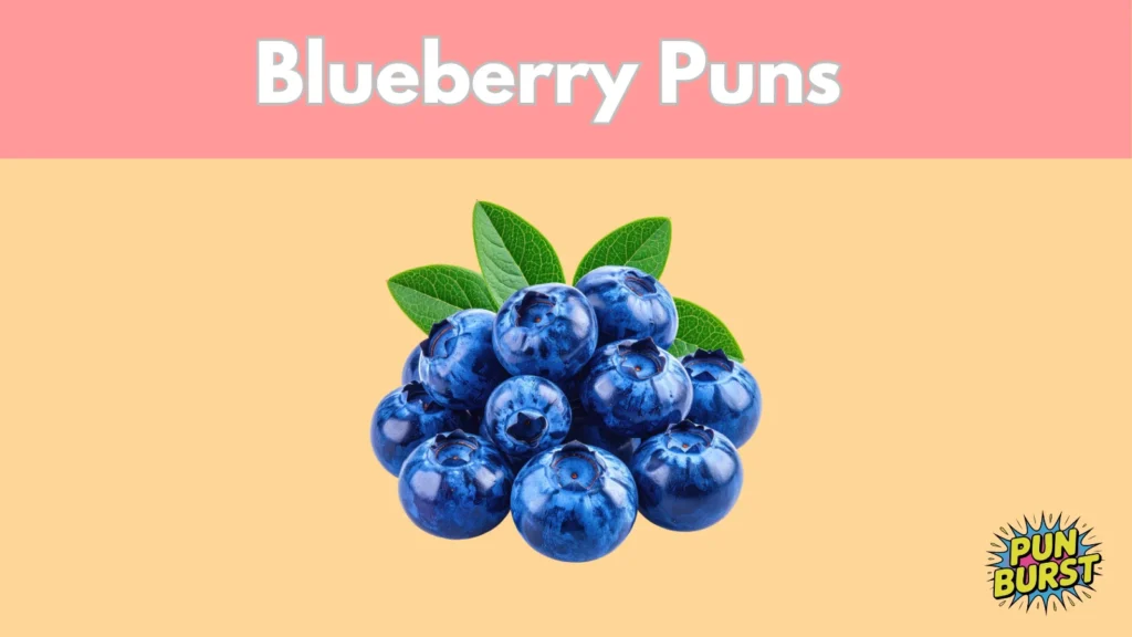 Blueberry Puns