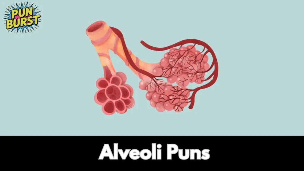 Alveoli Puns