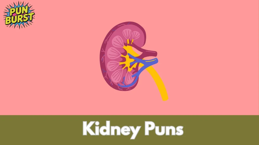 Kidney Puns