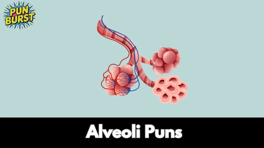 Alveoli Puns
