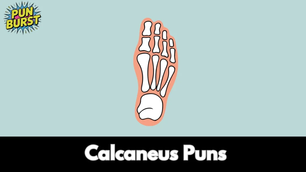 Calcaneus Puns