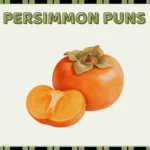 Persimmon Puns