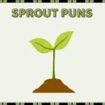 Sprout puns