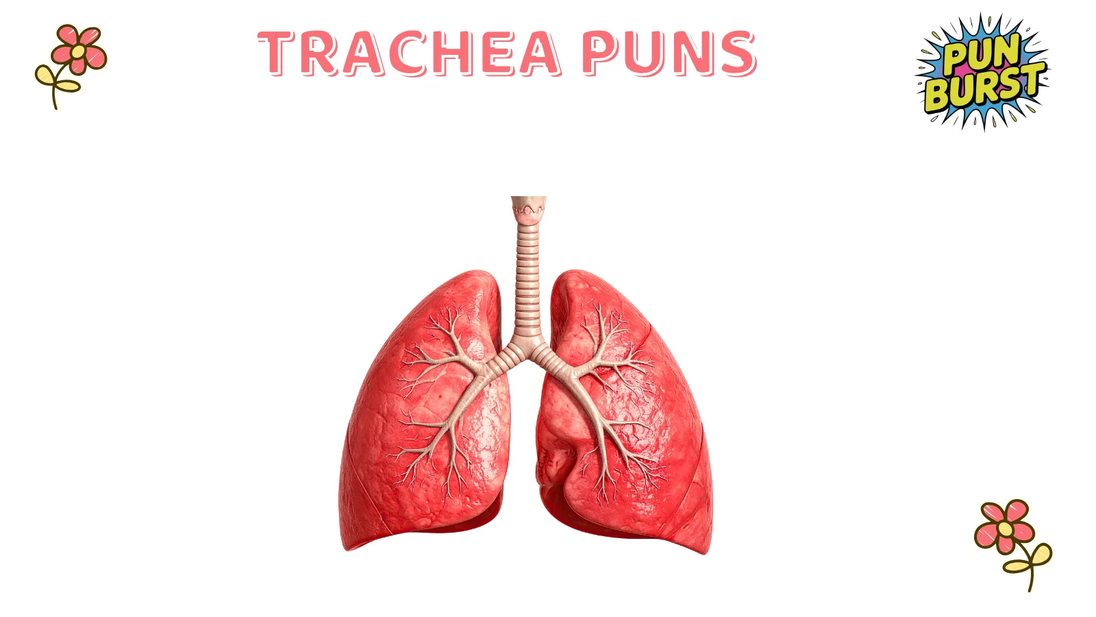 Trachea Puns