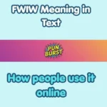 FWIW Meaning in Text