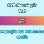 HYB Meaning in Text