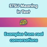 STSU Meaning in Text
