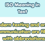 ISO Meaning in Text