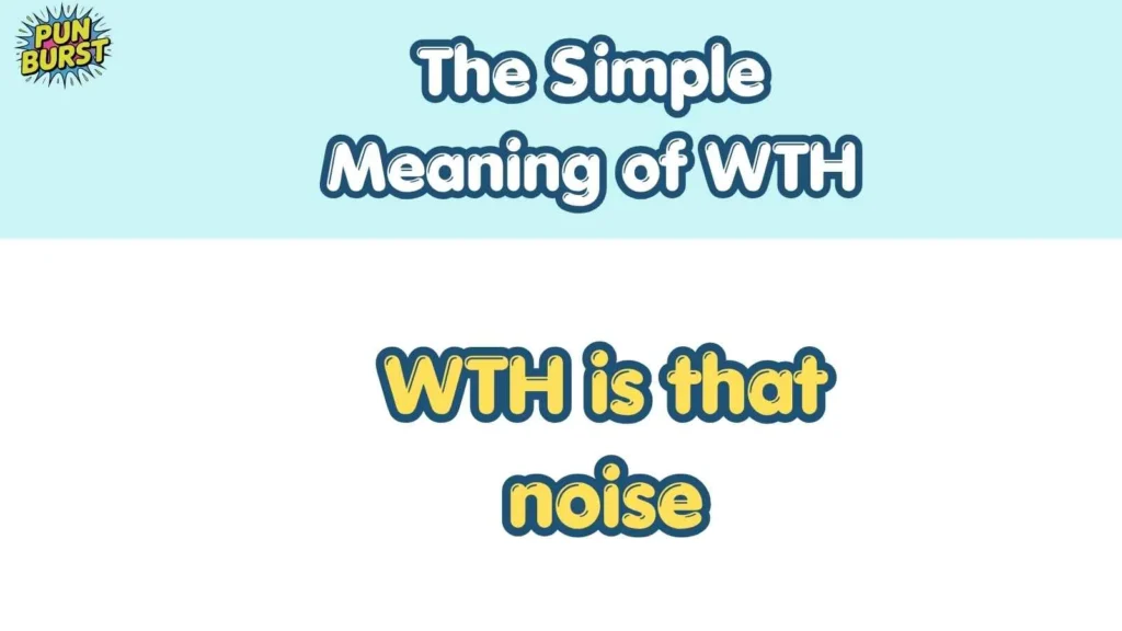 The Simple Meaning of WTH 