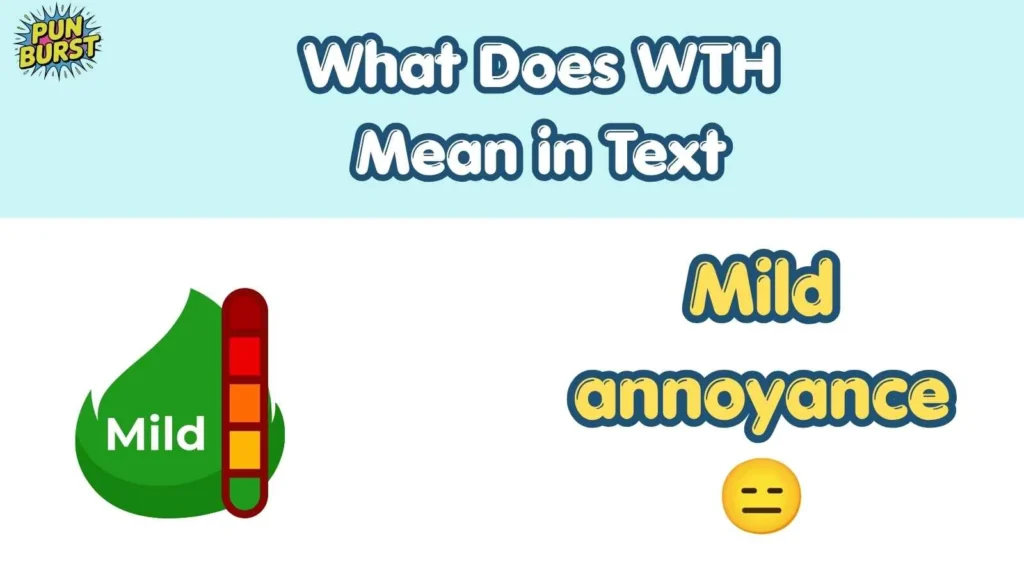 What Does WTH Mean in Text