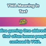 YWA Meaning in Text